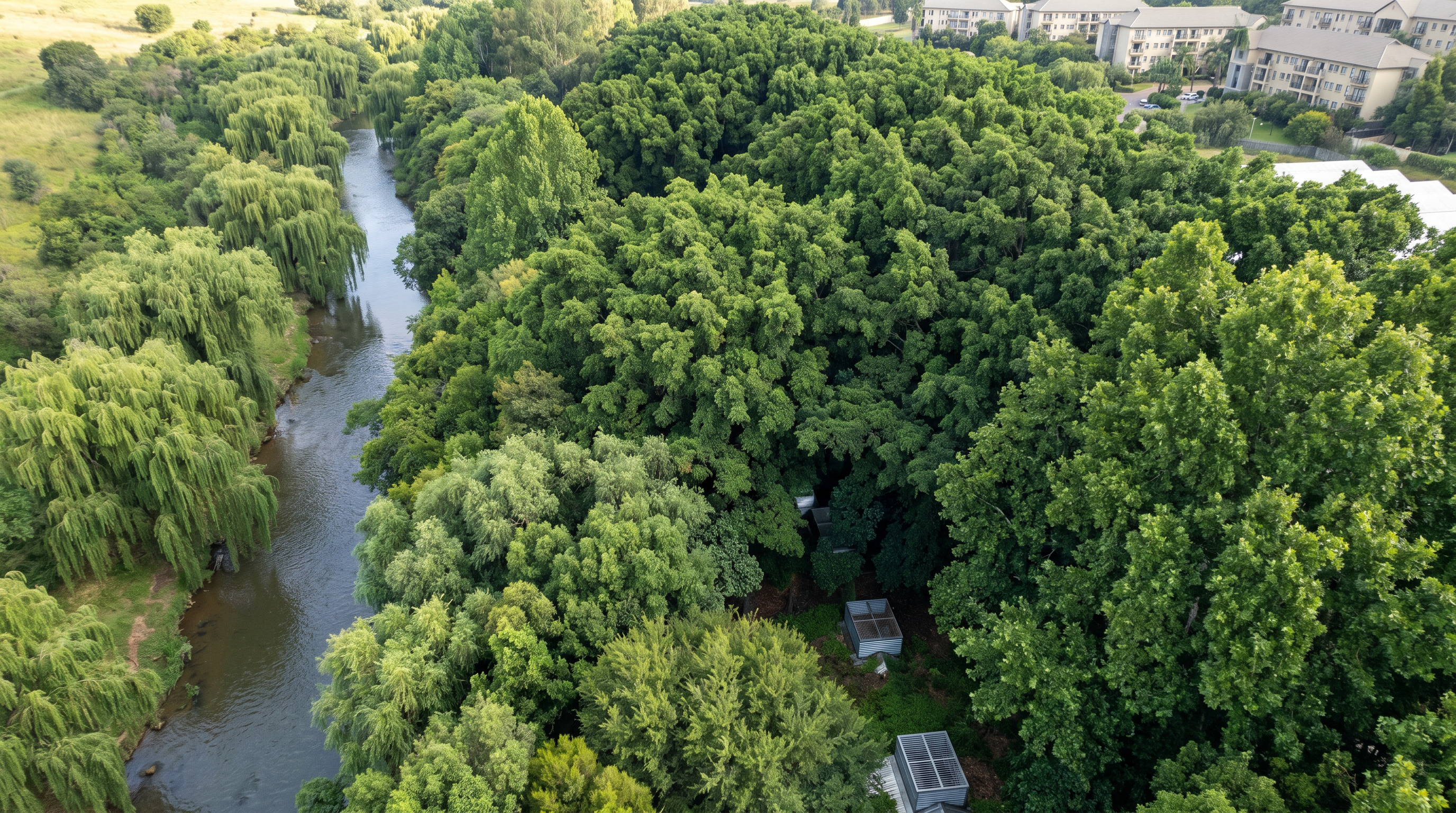 The Aeroponic Production Facility
